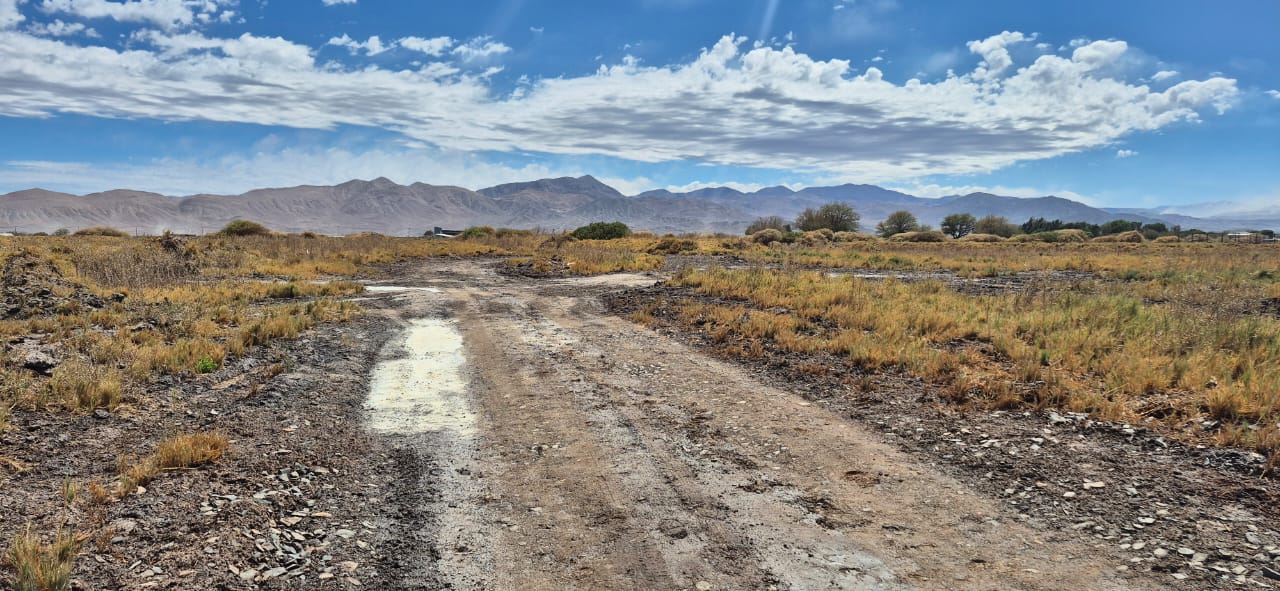 WhatsApp Image 2025-08-17 at 12.20.35 PM (2)_69ee4b2c579c0.jpeg